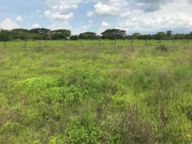 Development Parcel in Liberia
