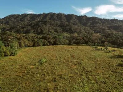 Terreno de primera para desarrollo comercial con frente a la autopista, photo 5
