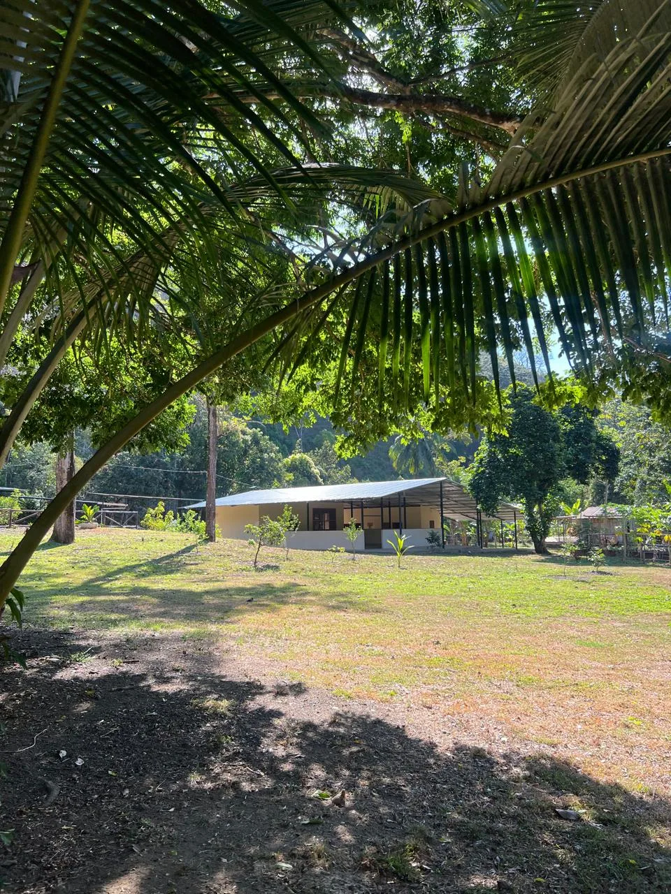 Amazing Riverside Property in Quebrada Amarilla Mataplatano – 4,711 Square Meters of Land