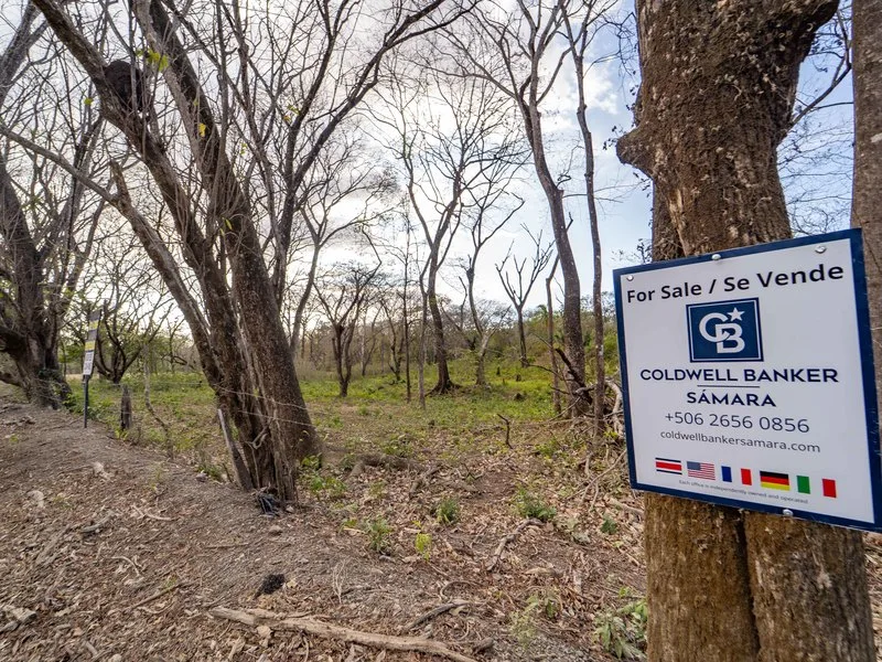 Land For Sale in Samara, photo 2