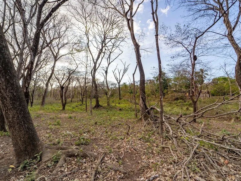 Land For Sale in Samara, photo 3