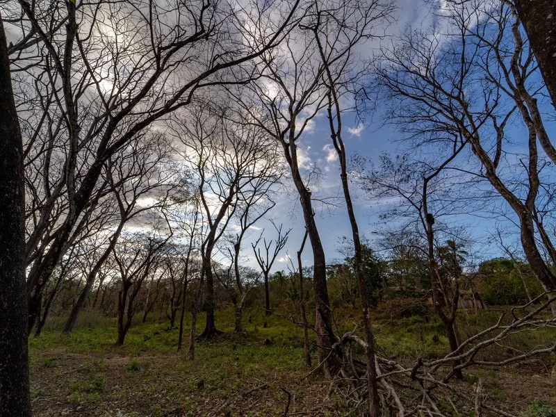 Land For Sale in Samara, photo 4