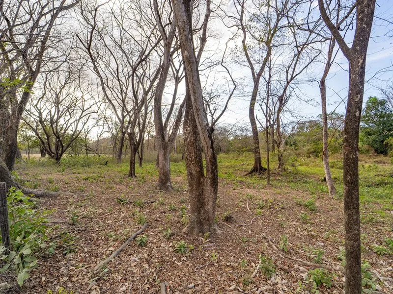 Land For Sale in Samara, photo 5