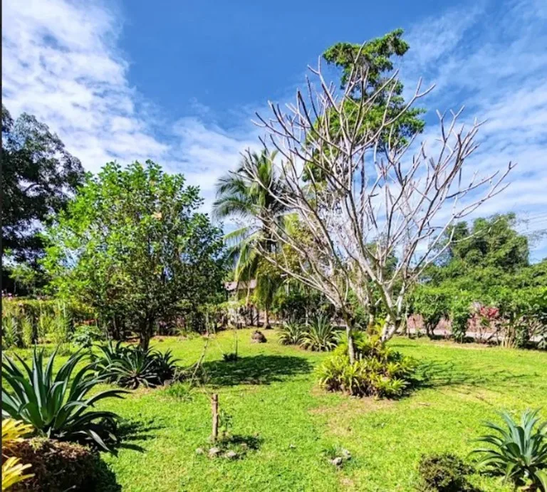 Lote Listo para Construir a Solo 250 Metros de la Playa en Playa Negra, photo 9