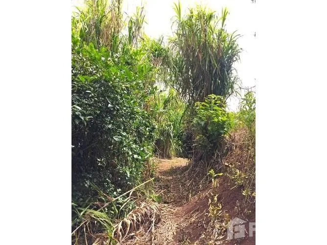 Land for Sale in Escazu, San Jose for $198,000, photo 2