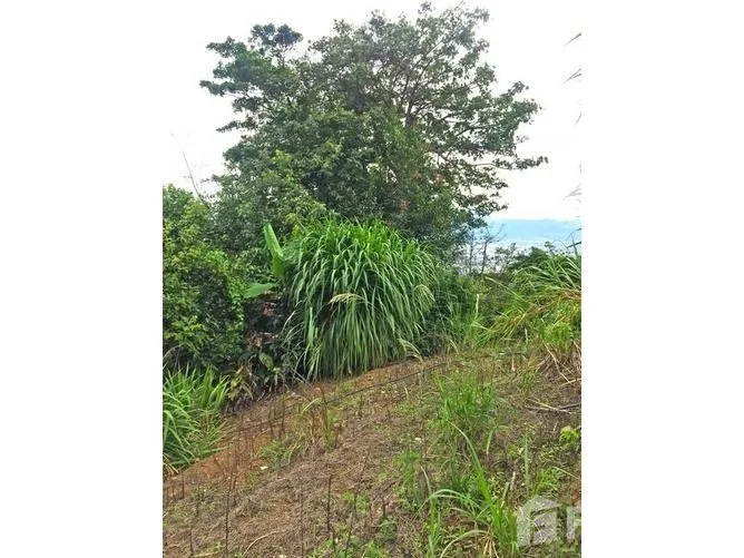 Land for Sale in Escazu, San Jose for $198,000, photo 3