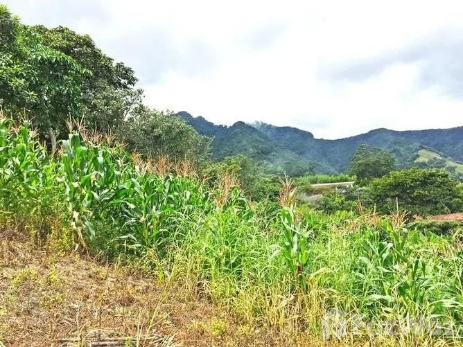 Land for Sale in Escazu, San Jose for $198,000, photo 4
