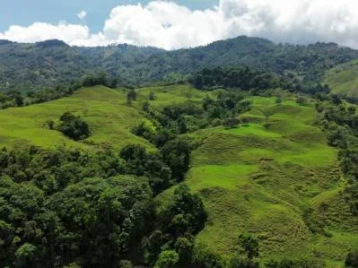 Prime Mountain View Lot for Sale in Río Nuevo, Pérez Zeledón, Costa Rica, photo 2