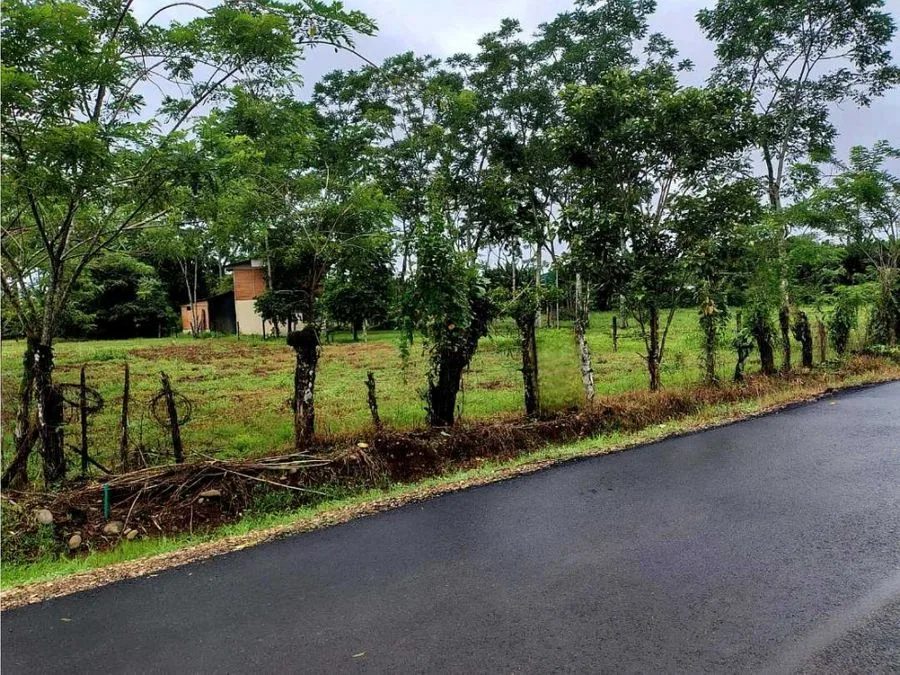 🌿 LOTE DE 2.209 m² EN VENTA | MUELLE DE LA PALMERA, SAN CARLOS