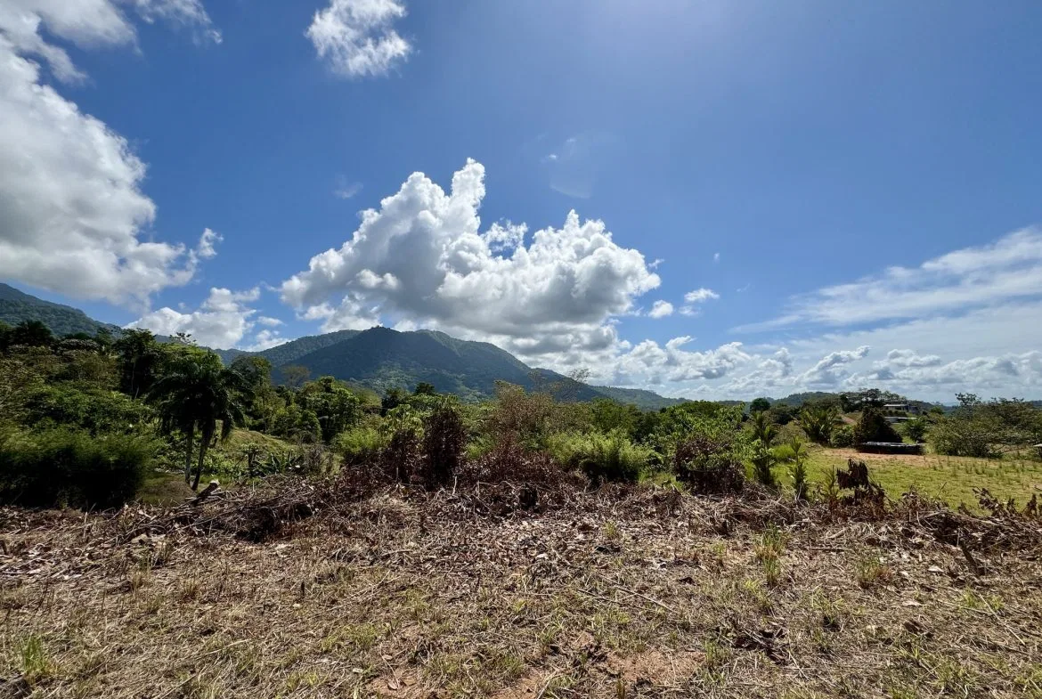 BUILDING PROPERTY WITH RIVER VIEW, IN TRES RIOS – 1.32 ACRES, photo 16