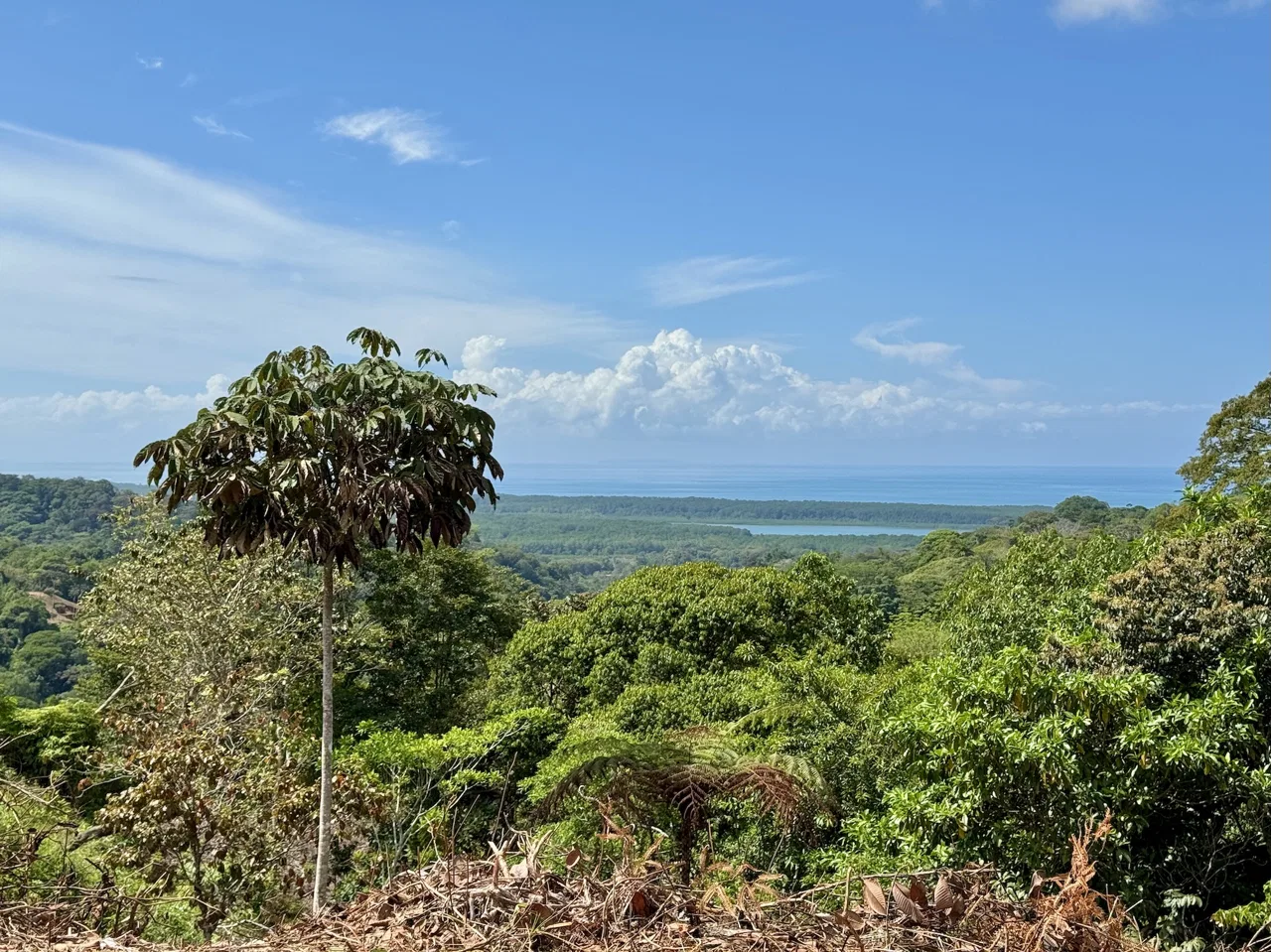 BUILDING PROPERTY WITH RIVER VIEW, IN TRES RIOS – 1.32 ACRES, photo 3