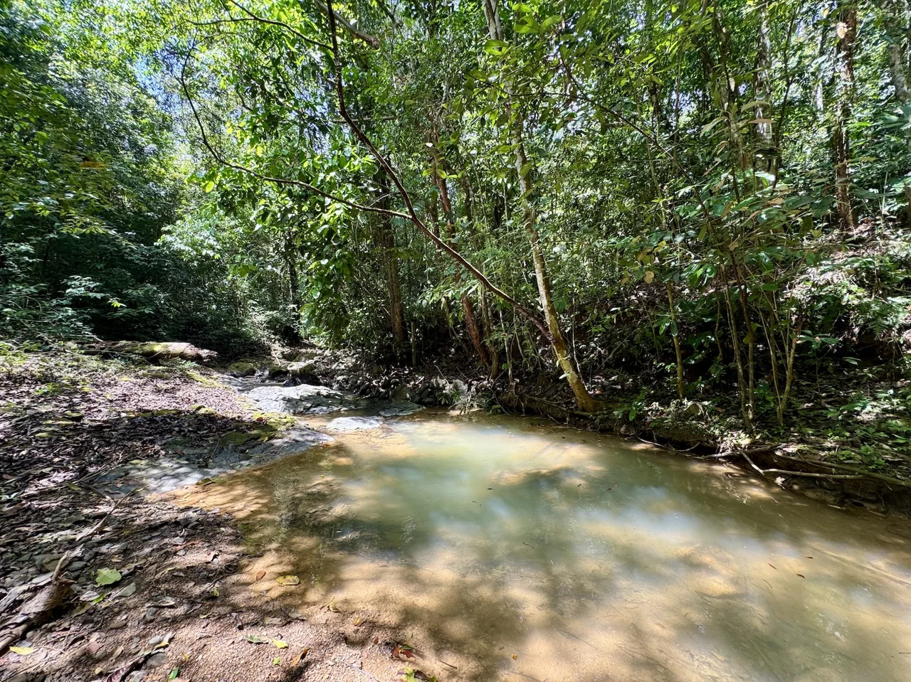 BUILDING PROPERTY WITH RIVER VIEW, IN TRES RIOS – 1.32 ACRES, photo 23