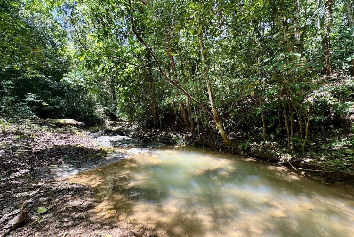 BUILDING PROPERTY WITH RIVER VIEW, IN TRES RIOS – 1.32 ACRES, photo 24