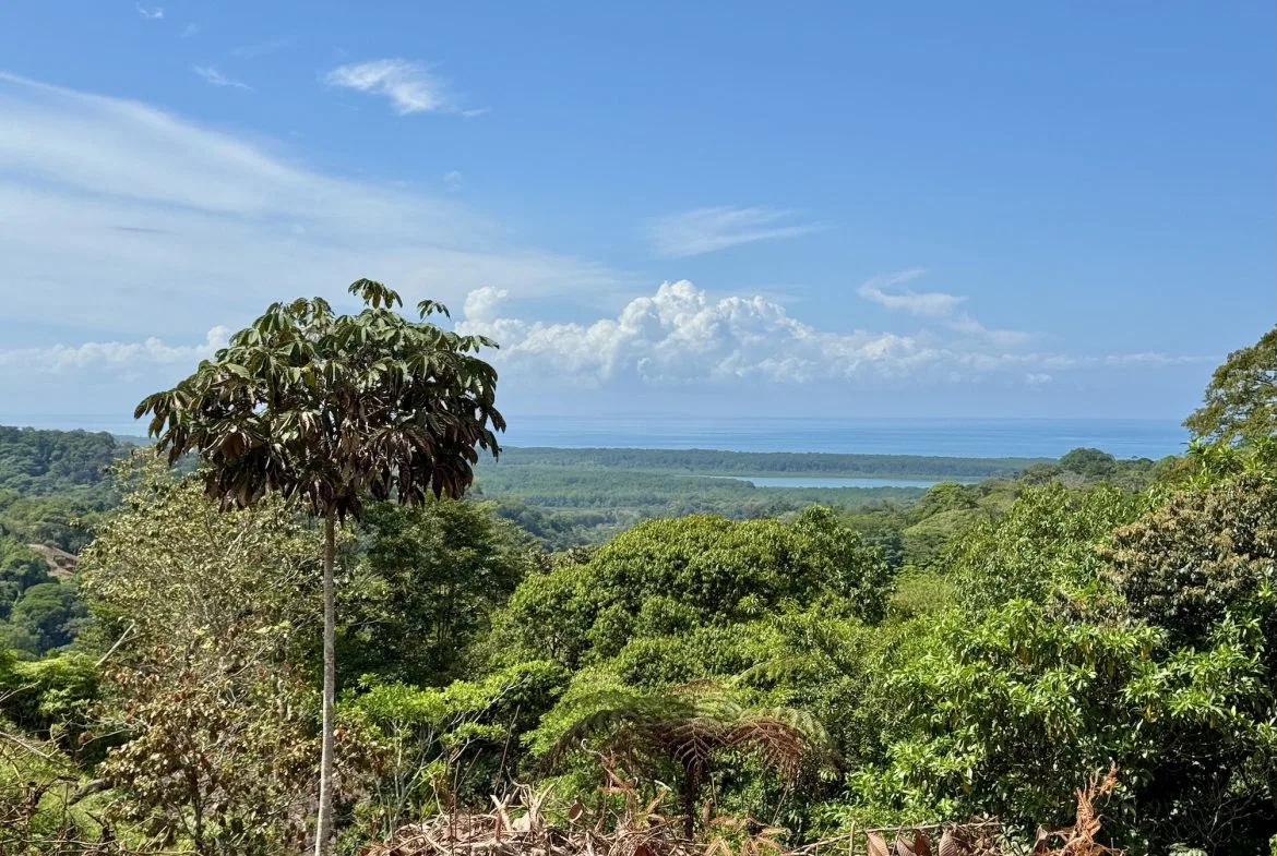BUILDING PROPERTY WITH RIVER VIEW, IN TRES RIOS – 1.32 ACRES, photo 4