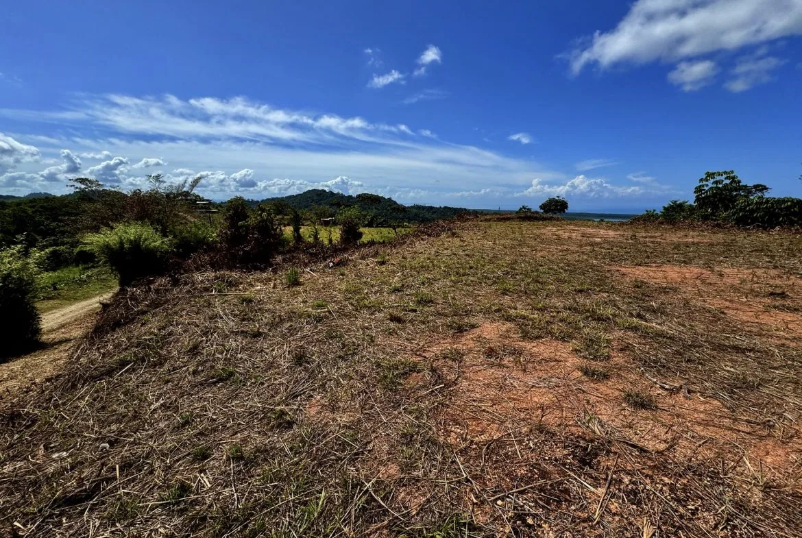 BUILDING PROPERTY WITH RIVER VIEW, IN TRES RIOS – 1.32 ACRES, photo 6