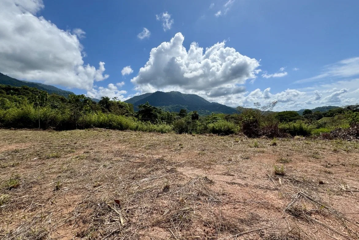 BUILDING PROPERTY WITH RIVER VIEW, IN TRES RIOS – 1.32 ACRES, photo 10