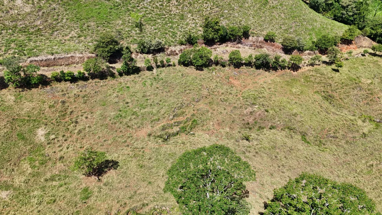 Property for Sale with Sugarcane Crops &amp; Beautiful Mountain Views in Pérez Zeledón, Costa Rica (General Viejo), photo 13