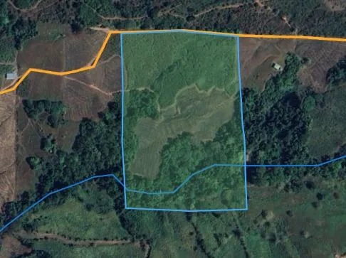 Property for Sale with Sugarcane Crops &amp; Beautiful Mountain Views in Pérez Zeledón, Costa Rica (General Viejo), photo 7