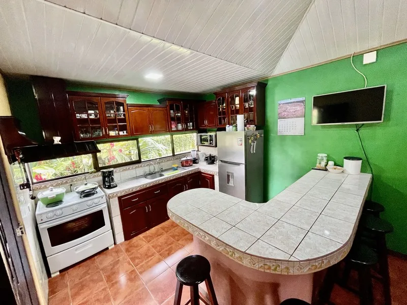 5 Bed Single Family Homes For Sale in Perez Zeledon, photo 11
