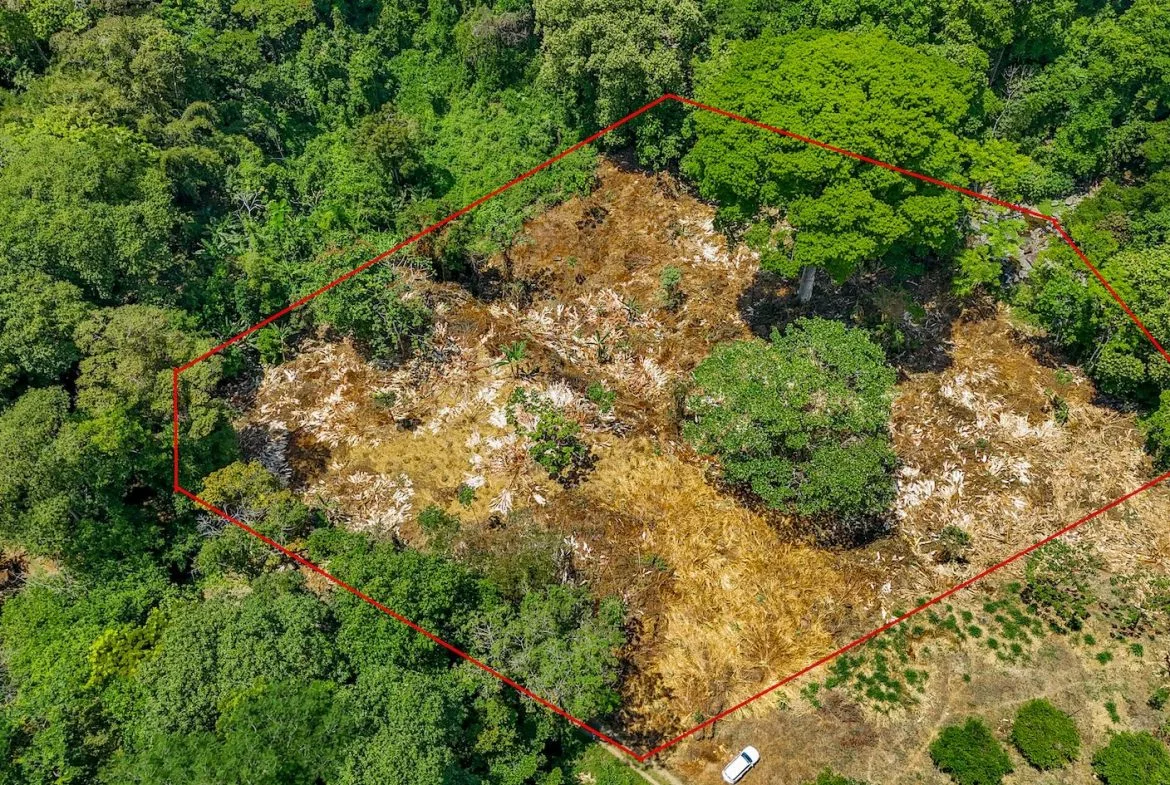 BUILDING PROPERTY WITH MOUNTAIN VIEWS AND CREEK, IN OJOCHAL – 2.46 ACRES, photo 2
