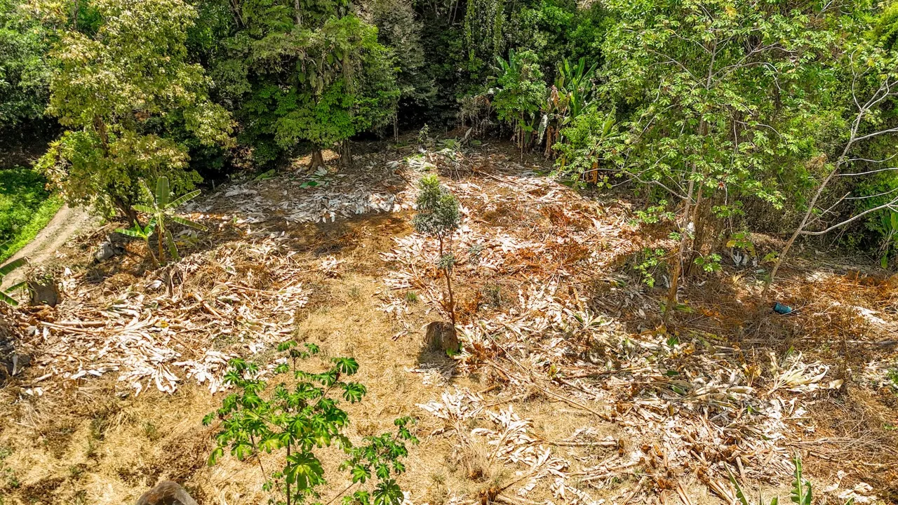 BUILDING PROPERTY WITH MOUNTAIN VIEWS AND CREEK, IN OJOCHAL – 2.46 ACRES, photo 11