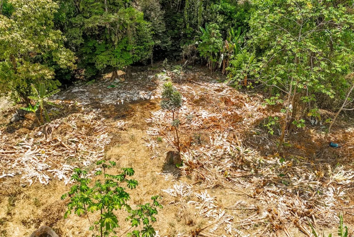BUILDING PROPERTY WITH MOUNTAIN VIEWS AND CREEK, IN OJOCHAL – 2.46 ACRES, photo 12