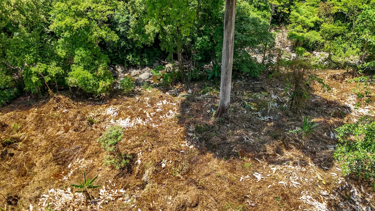 BUILDING PROPERTY WITH MOUNTAIN VIEWS AND CREEK, IN OJOCHAL – 2.46 ACRES, photo 13