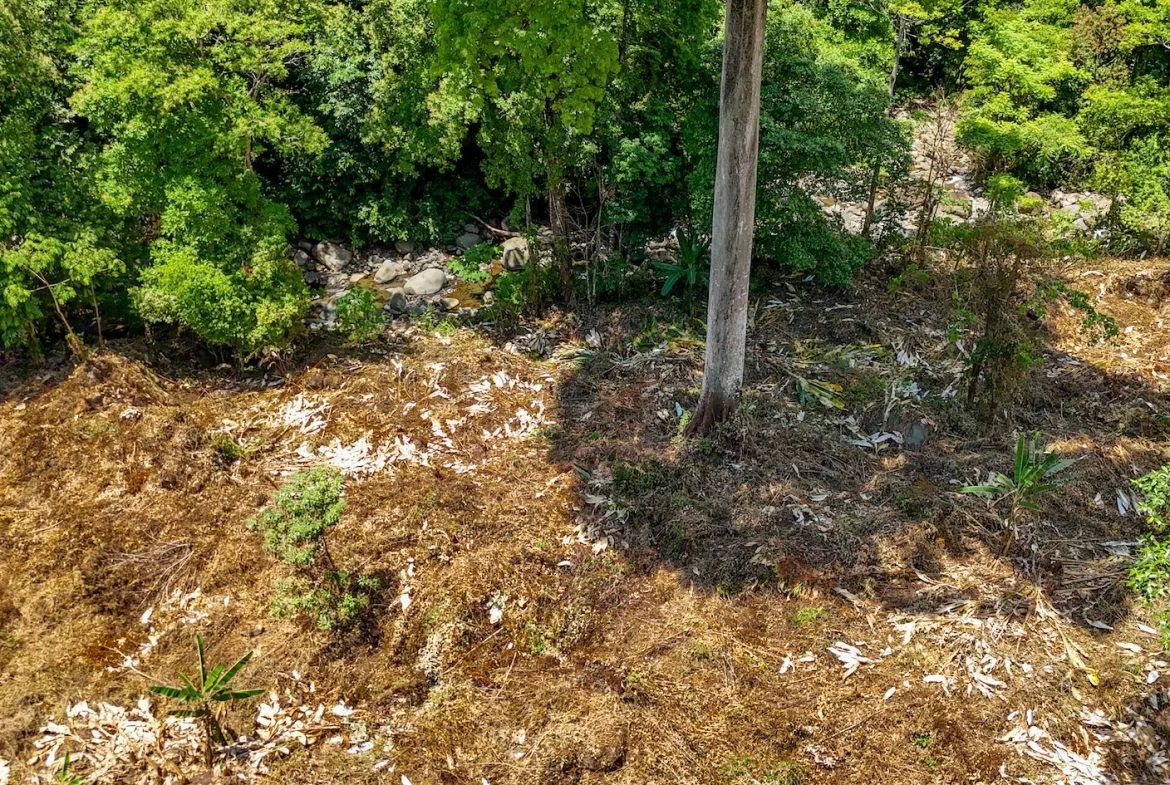BUILDING PROPERTY WITH MOUNTAIN VIEWS AND CREEK, IN OJOCHAL – 2.46 ACRES, photo 14