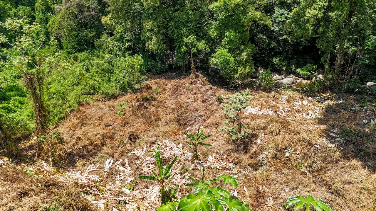BUILDING PROPERTY WITH MOUNTAIN VIEWS AND CREEK, IN OJOCHAL – 2.46 ACRES, photo 15