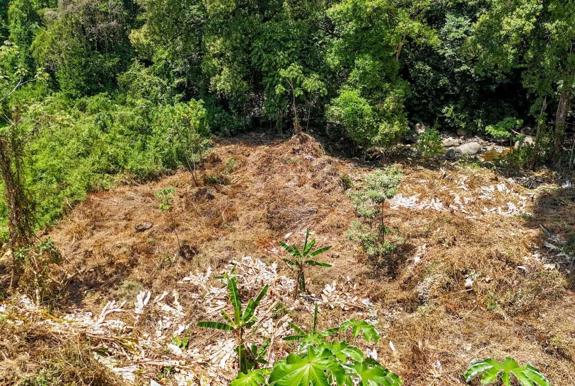 BUILDING PROPERTY WITH MOUNTAIN VIEWS AND CREEK, IN OJOCHAL – 2.46 ACRES, photo 16