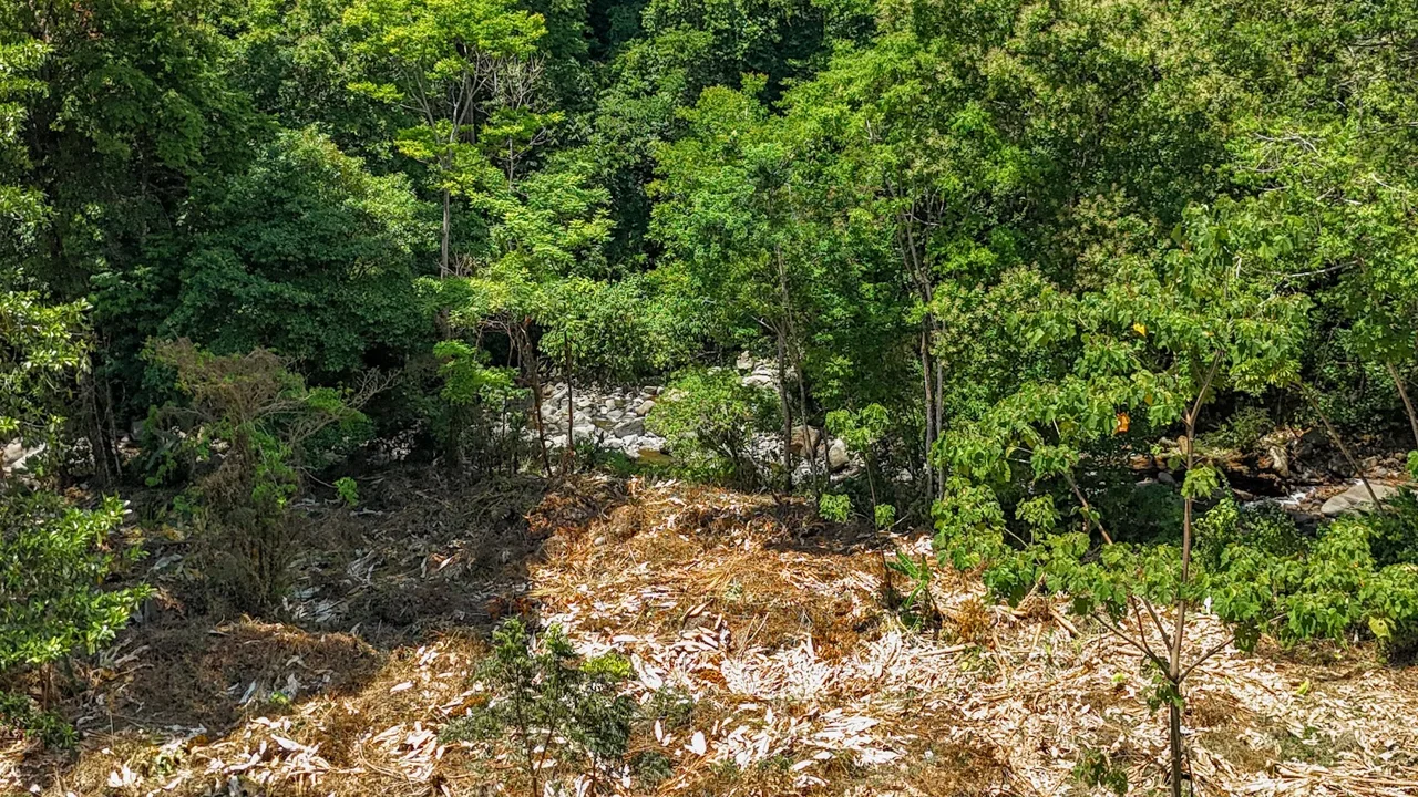 BUILDING PROPERTY WITH MOUNTAIN VIEWS AND CREEK, IN OJOCHAL – 2.46 ACRES, photo 17