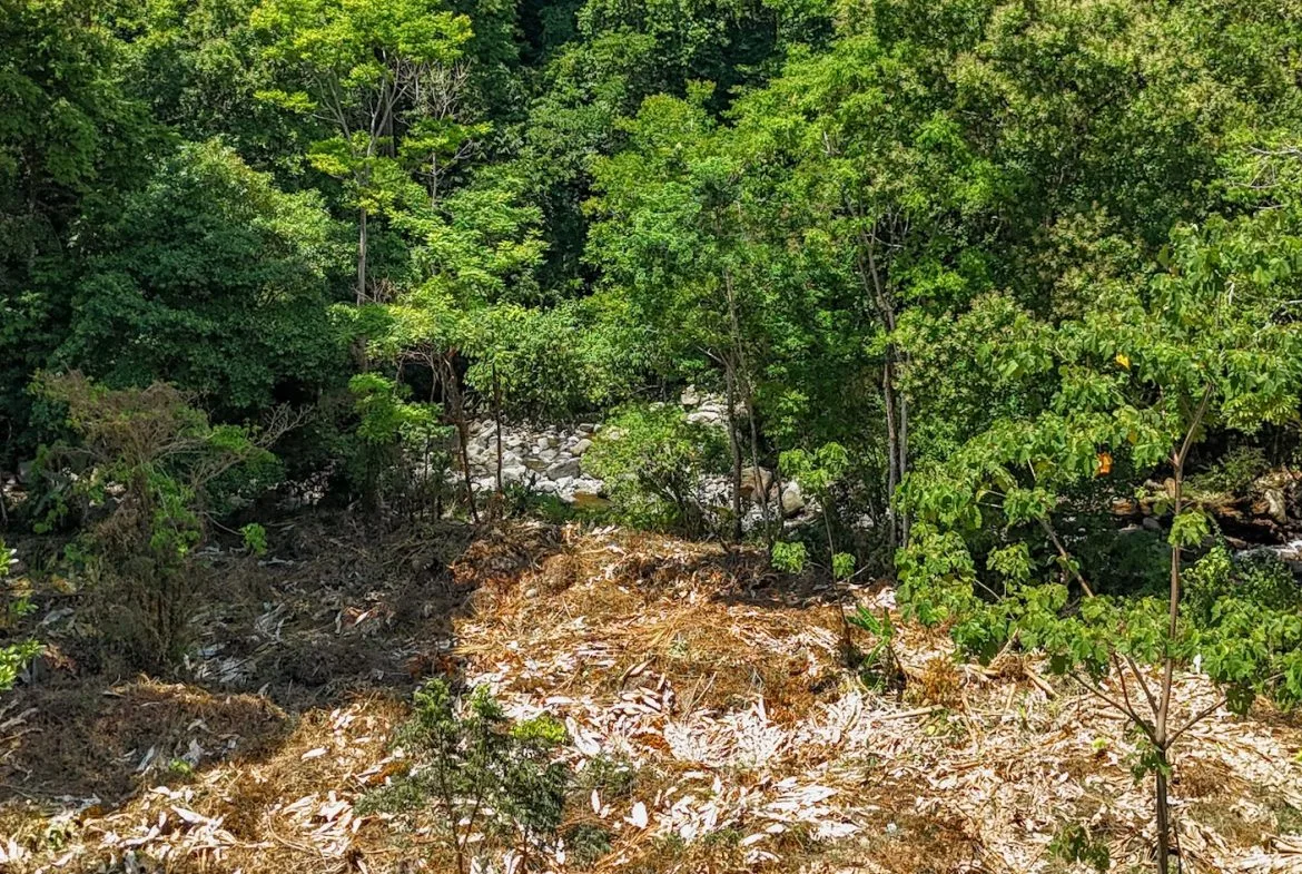 BUILDING PROPERTY WITH MOUNTAIN VIEWS AND CREEK, IN OJOCHAL – 2.46 ACRES, photo 18