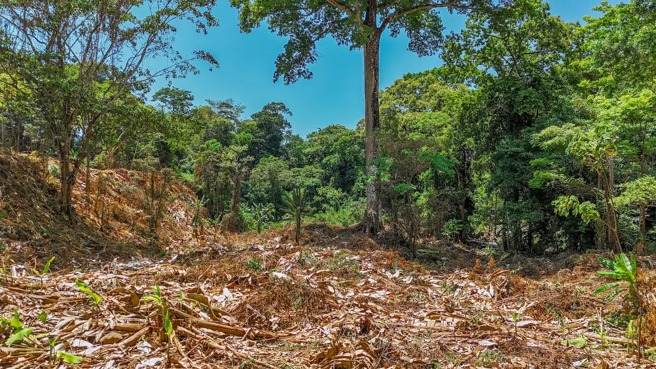 BUILDING PROPERTY WITH MOUNTAIN VIEWS AND CREEK, IN OJOCHAL – 2.46 ACRES, photo 19