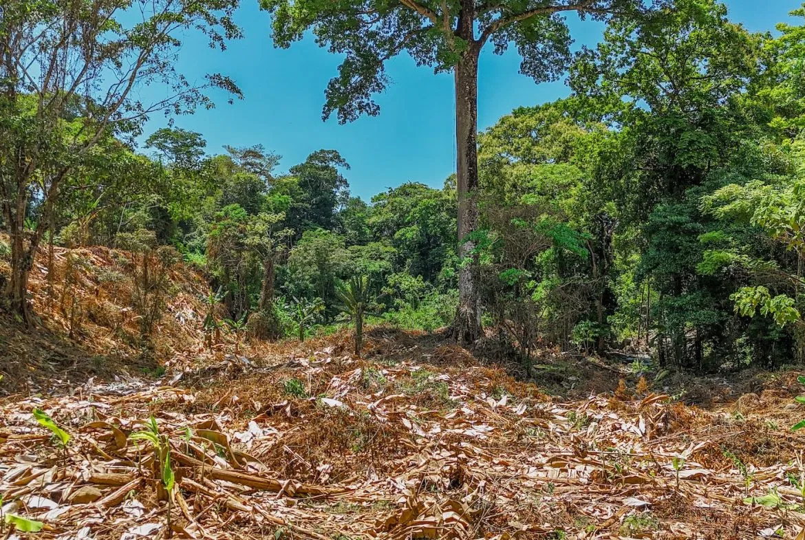 BUILDING PROPERTY WITH MOUNTAIN VIEWS AND CREEK, IN OJOCHAL – 2.46 ACRES, photo 20
