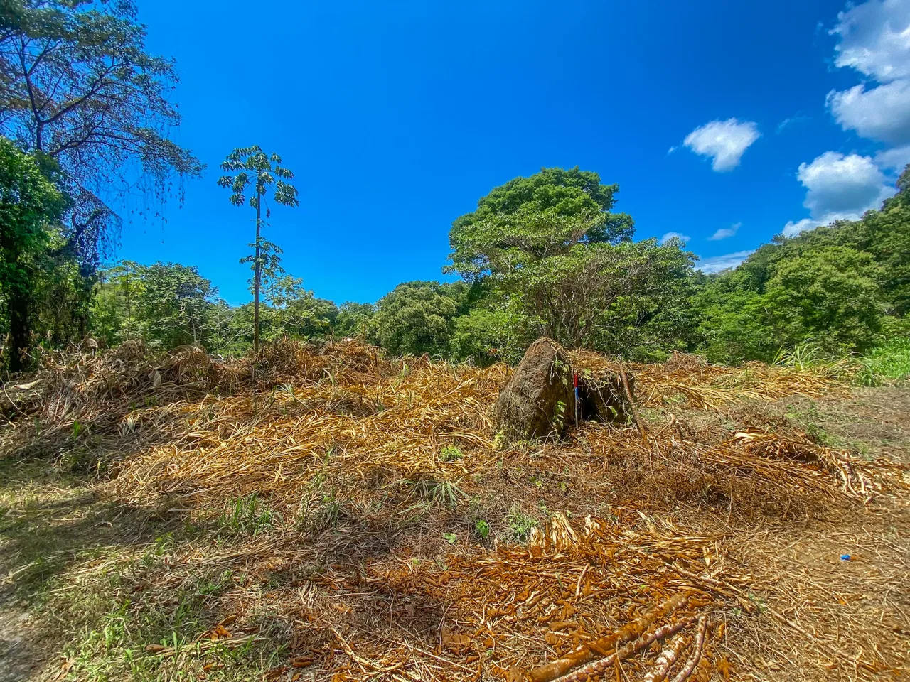 BUILDING PROPERTY WITH MOUNTAIN VIEWS AND CREEK, IN OJOCHAL – 2.46 ACRES, photo 21