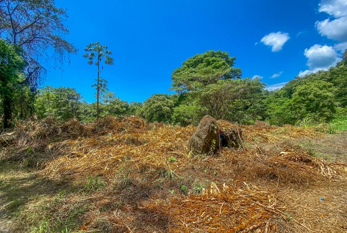 BUILDING PROPERTY WITH MOUNTAIN VIEWS AND CREEK, IN OJOCHAL – 2.46 ACRES, photo 22