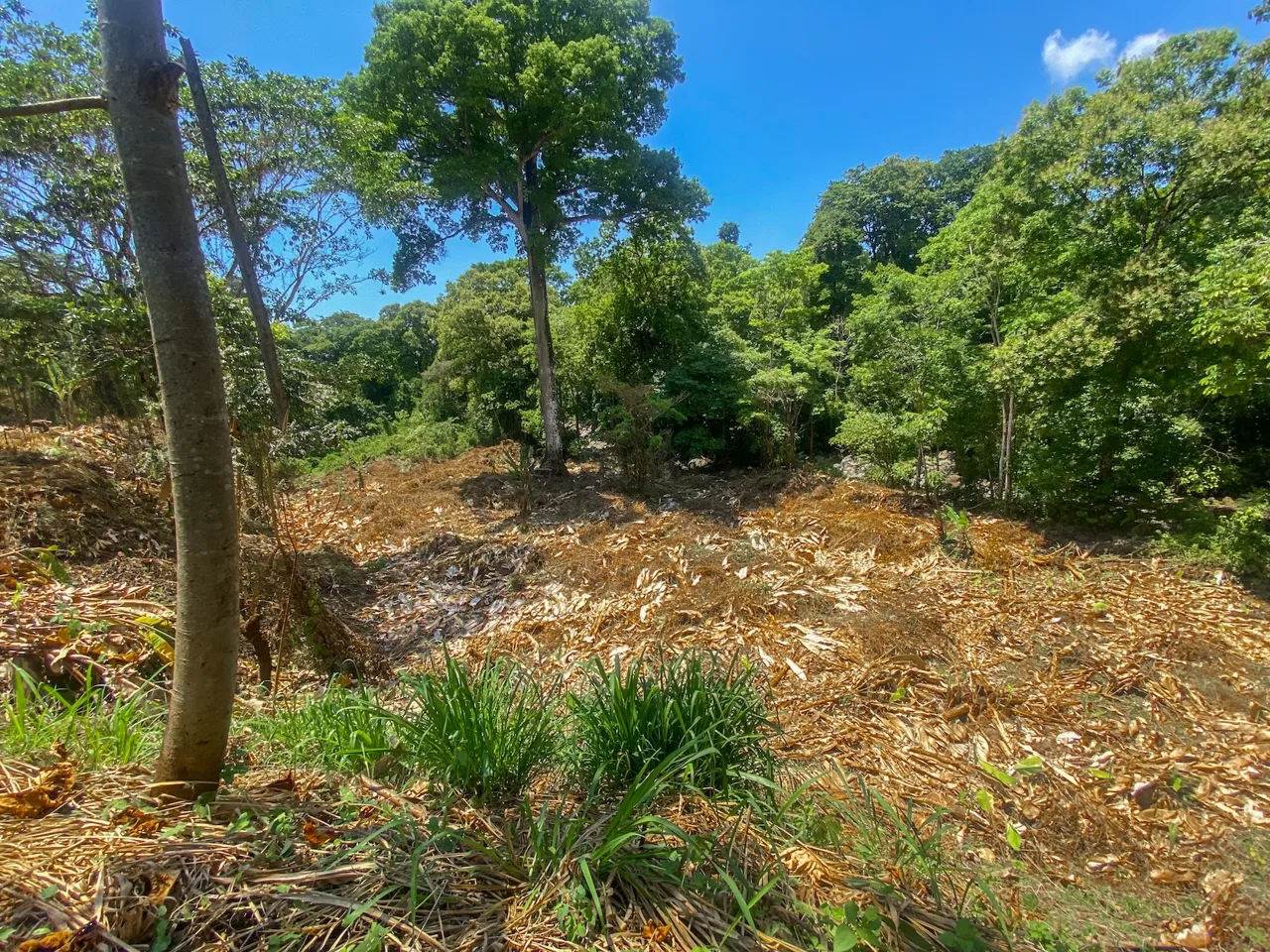 BUILDING PROPERTY WITH MOUNTAIN VIEWS AND CREEK, IN OJOCHAL – 2.46 ACRES, photo 23