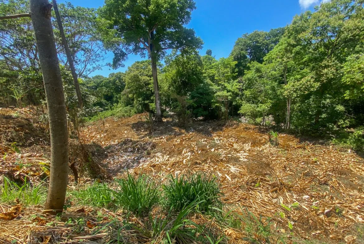 BUILDING PROPERTY WITH MOUNTAIN VIEWS AND CREEK, IN OJOCHAL – 2.46 ACRES, photo 24