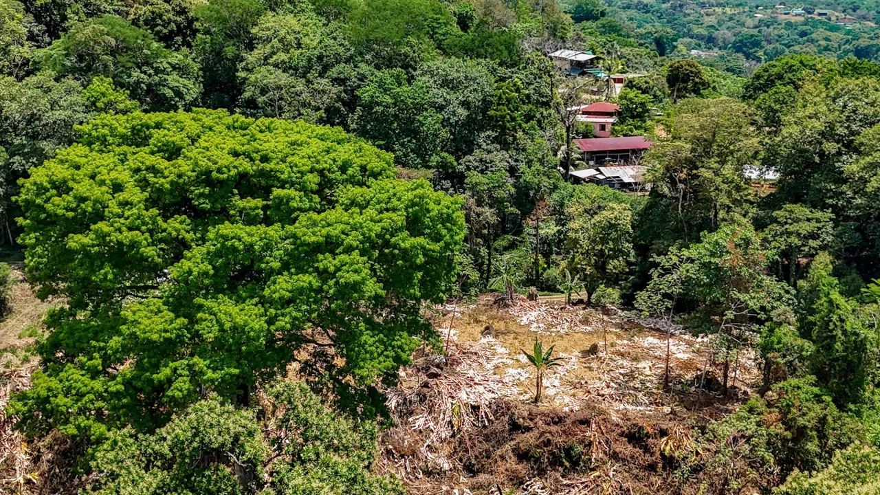 BUILDING PROPERTY WITH MOUNTAIN VIEWS AND CREEK, IN OJOCHAL – 2.46 ACRES, photo 5
