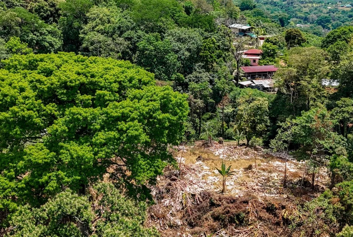 BUILDING PROPERTY WITH MOUNTAIN VIEWS AND CREEK, IN OJOCHAL – 2.46 ACRES, photo 6