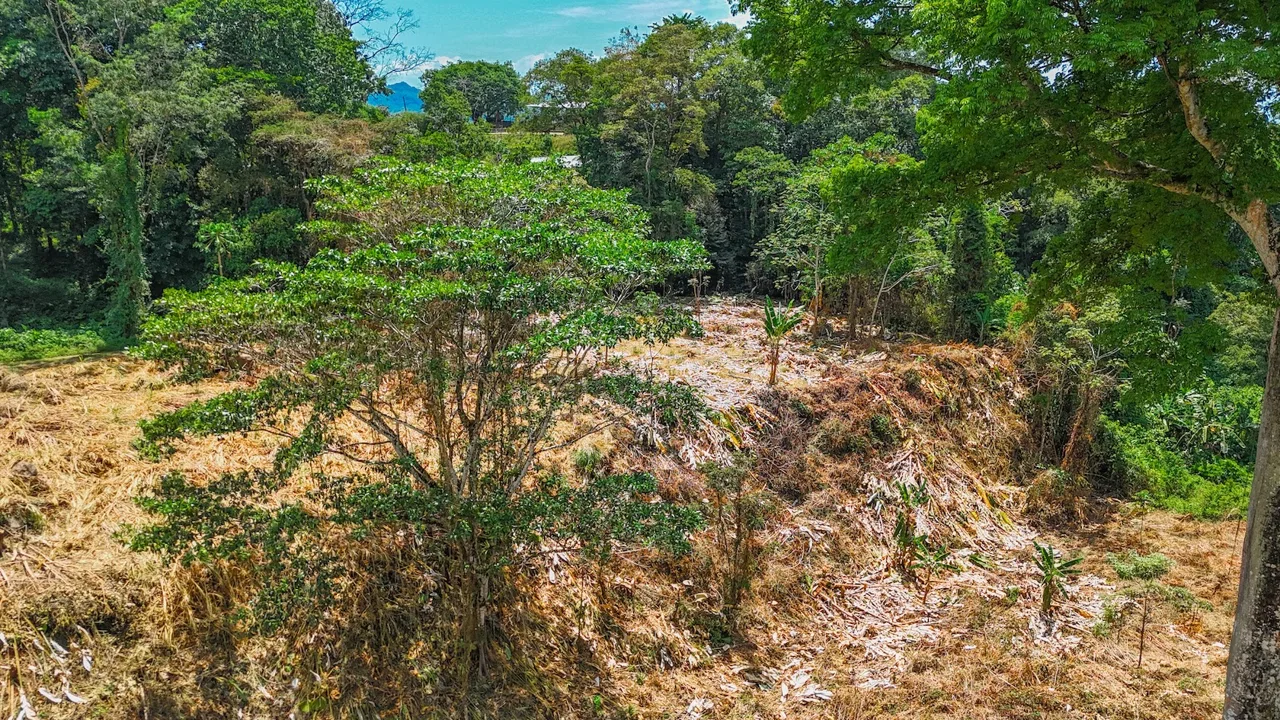 BUILDING PROPERTY WITH MOUNTAIN VIEWS AND CREEK, IN OJOCHAL – 2.46 ACRES, photo 7