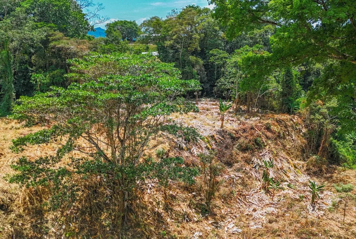 BUILDING PROPERTY WITH MOUNTAIN VIEWS AND CREEK, IN OJOCHAL – 2.46 ACRES, photo 8