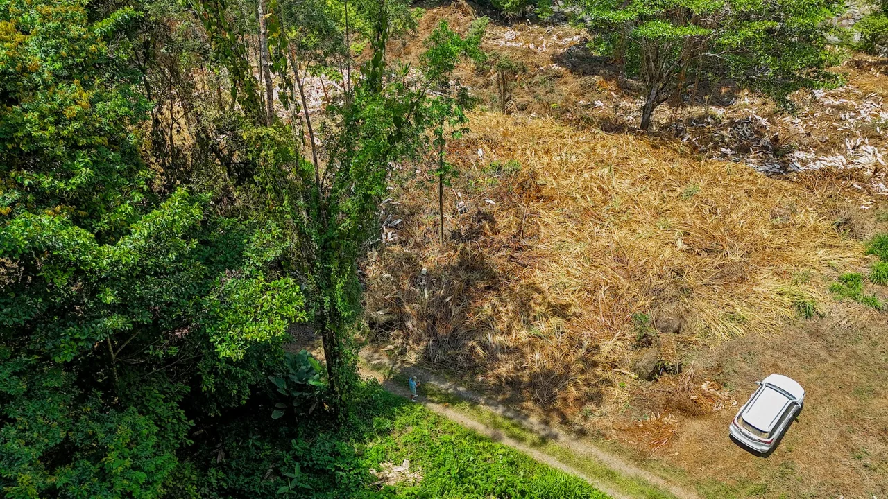 BUILDING PROPERTY WITH MOUNTAIN VIEWS AND CREEK, IN OJOCHAL – 2.46 ACRES, photo 9