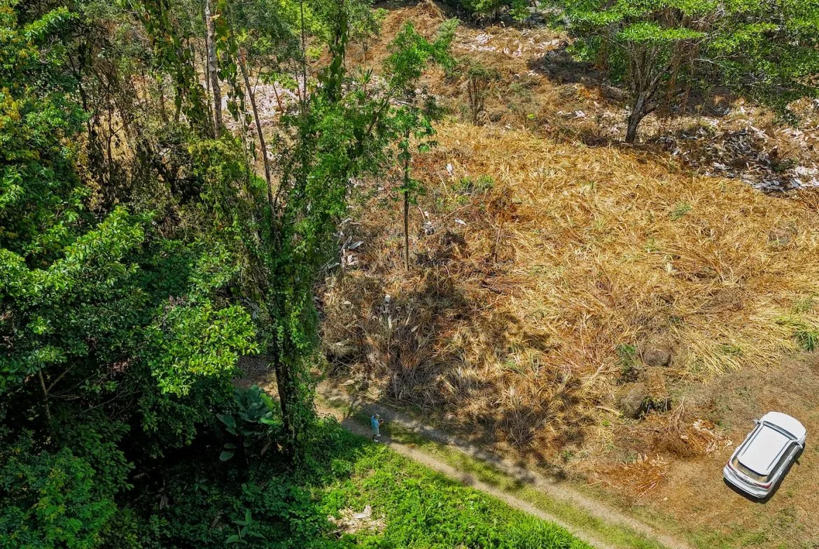 BUILDING PROPERTY WITH MOUNTAIN VIEWS AND CREEK, IN OJOCHAL – 2.46 ACRES, photo 10