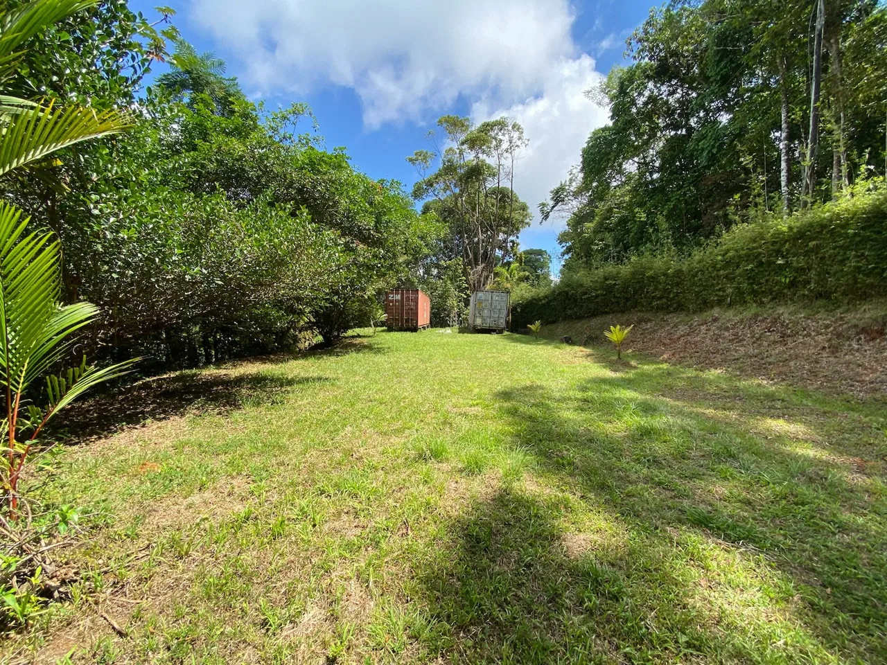 PROPERTY WITH ONE BEDROOM HOME AND EXTRA LOT BUILDING WITH NATURE VIEWS, IN LA FLORIDA BARU – 2.5 ACRES, photo 19