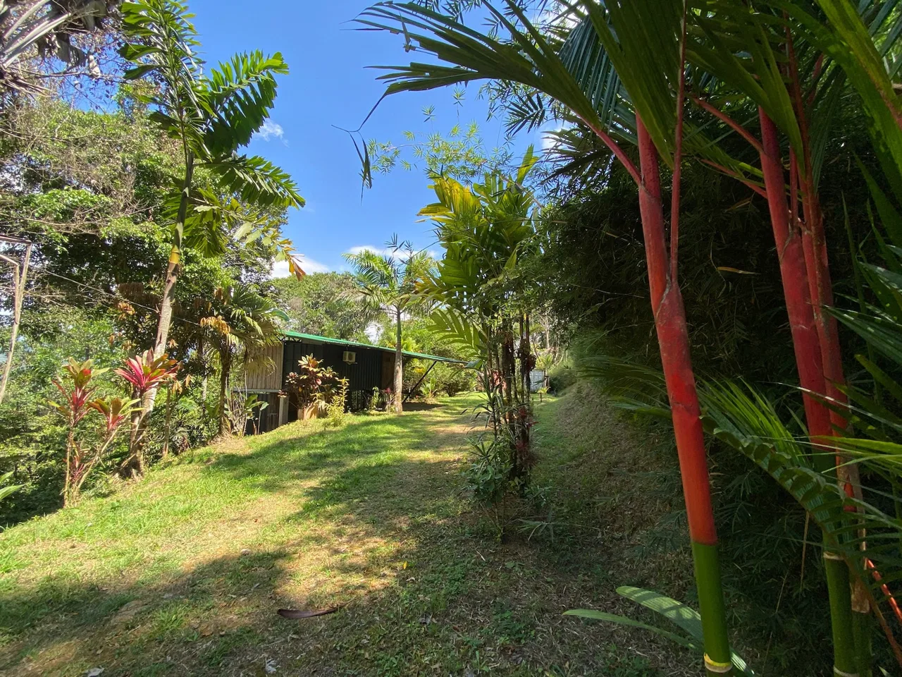 PROPERTY WITH ONE BEDROOM HOME AND EXTRA LOT BUILDING WITH NATURE VIEWS, IN LA FLORIDA BARU – 2.5 ACRES, photo 4