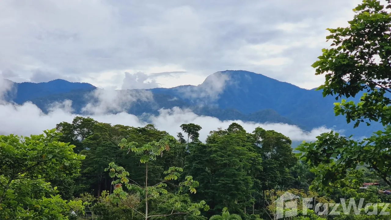 Land for Sale in Perez Zeledon, San Jose for $115,000, photo 2