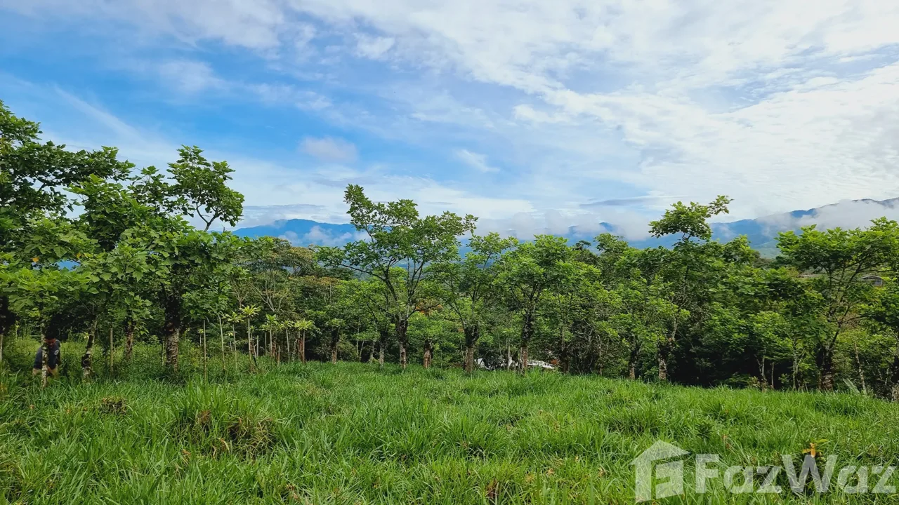 Land for Sale in Perez Zeledon, San Jose for $115,000, photo 3