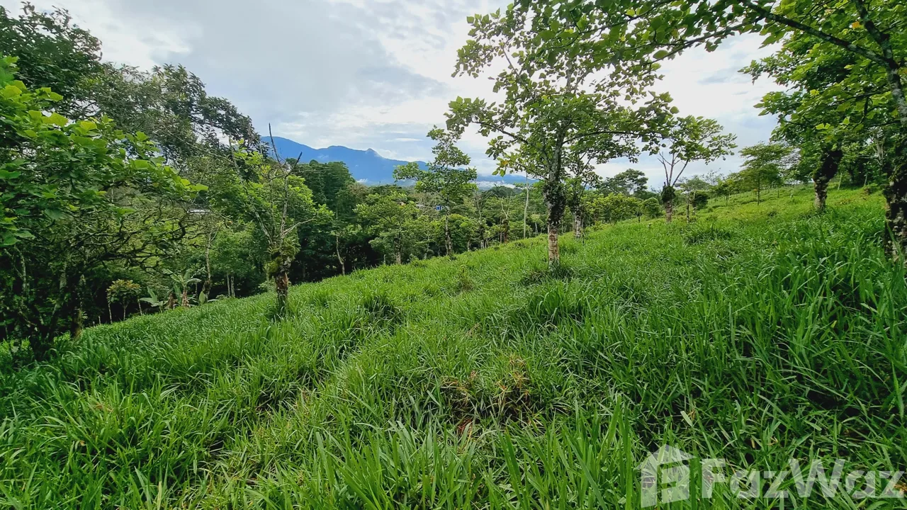 Land for Sale in Perez Zeledon, San Jose for $115,000, photo 4