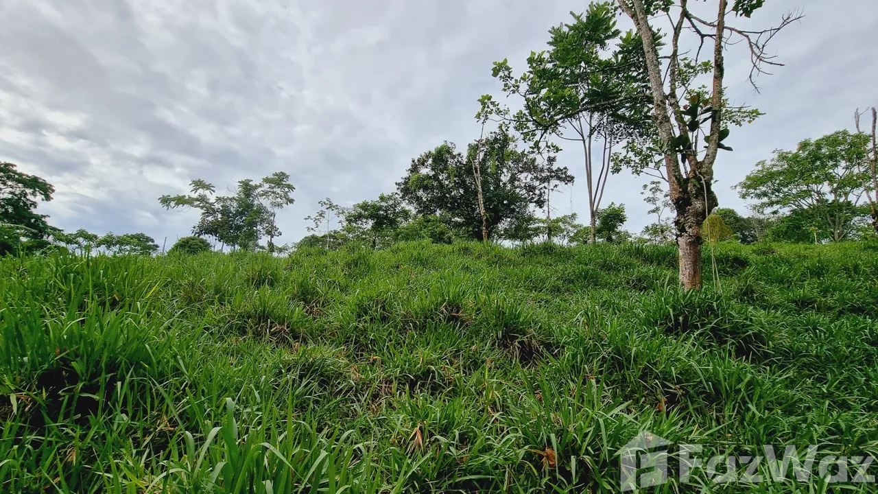 Land for Sale in Perez Zeledon, San Jose for $115,000, photo 5